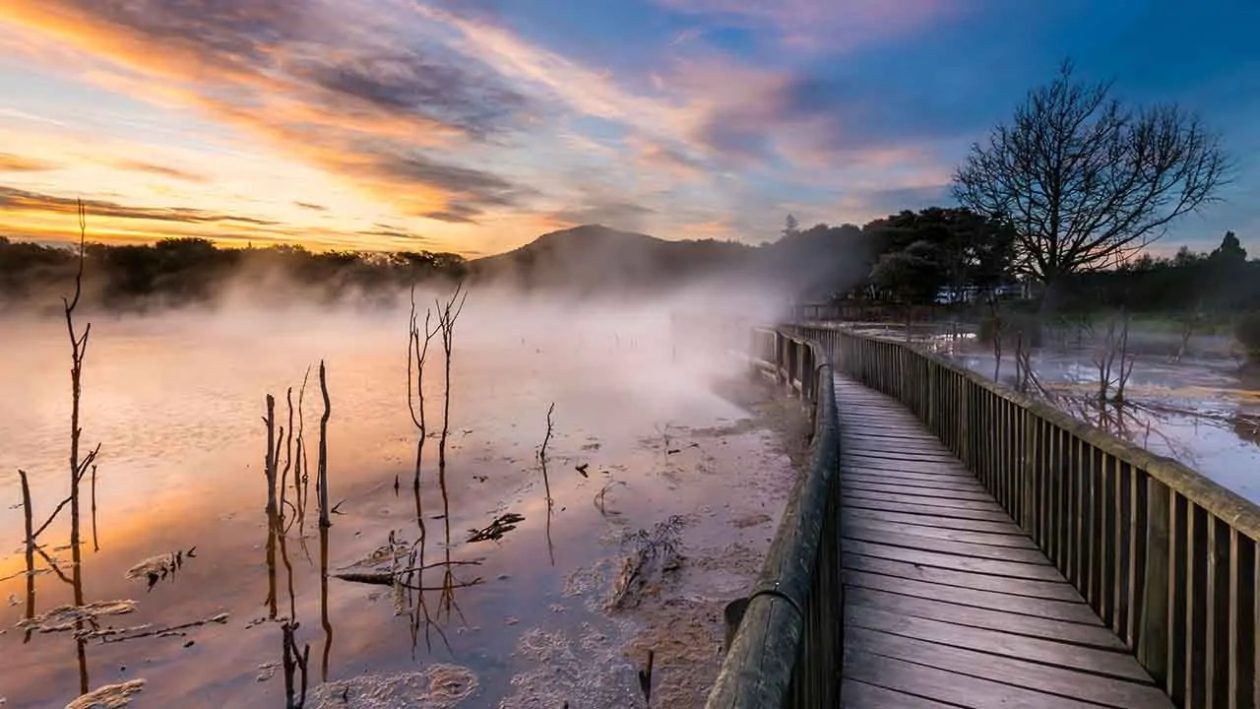 Kuirau Park is free to walk through. Look out for the foot pools!