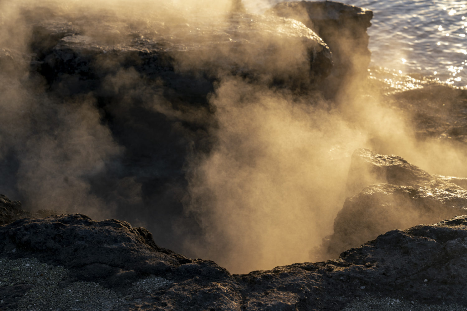 The Best Time to Visit Rotorua cover image.
