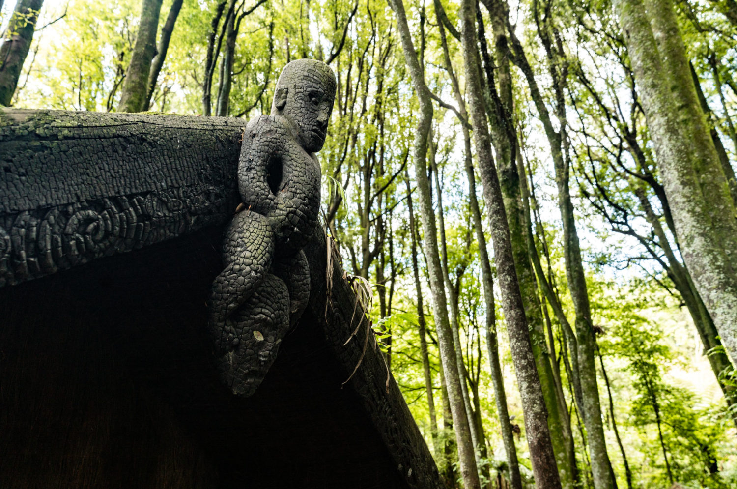 What truths do our wharenui hold? cover image.