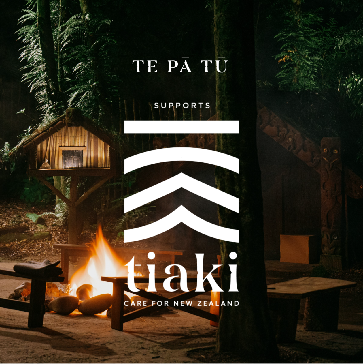 Tiaki Promise