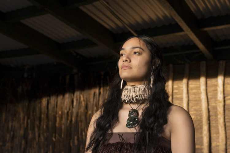 Te Pā Tū Brochure Cover Image